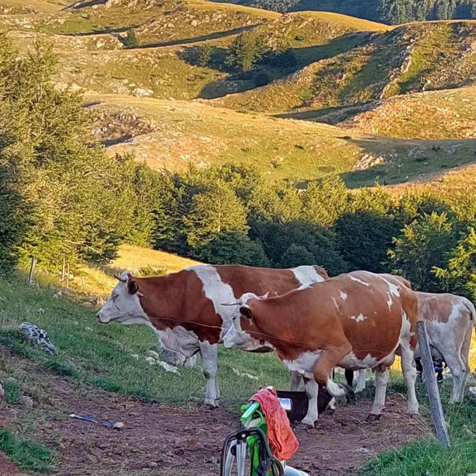 营地 Katun Ljeljenak 普卢日内